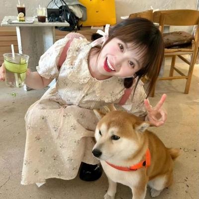 铁甲小宝